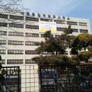 행정사사무소 해소 이미지