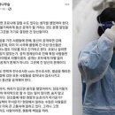 아웃팅
