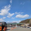 영월청령포 | 영월 청령포 다녀온 후기 주차와 배타는 대기시간