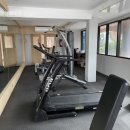 스타짐(STAR GYM) 이미지