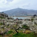 하동,구례 / 매화 산수유 축제, 참게탕정식＜연화장식당＞ 이미지