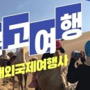 우리국제여행사 이미지