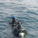 행복한해적 이미지