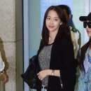 다솜 이미지
