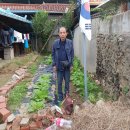 논공현대주유소 이미지