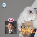 무지개다리 이미지