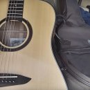 [신규]통기타 이미지