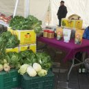 진도 무릉도원 이미지