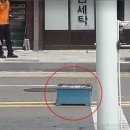 벌떼 이미지