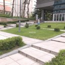 판교자이공인중개사사무소 네이버블로그