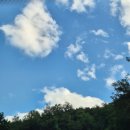 수아공인중개사사무소 이미지