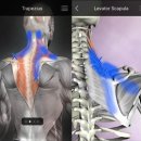 김필규한의원 이미지