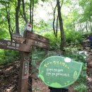 모악산마실길 1코스 이미지