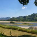 섬진강대나무숲길 이미지