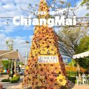 온굿마켓유통상사 | 태국 치앙마이 쇼핑 찡짜이마켓 주말마켓 후기