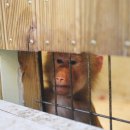 작은동물원 이미지