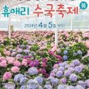 제주도 수국 축제 휴애리 자연생활공원 제주 꽃 구경 명소 이미지