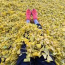 대둔리 경로당 이미지