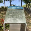 대불공원 좌측 이미지
