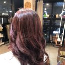 카라헤어 이미지