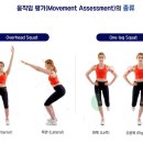 엑스바디 이미지