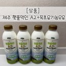 베타코리아 주식회사 | 제주 햇풀먹인 A2+목초유기농우유 솔직 리뷰 – 아이와 함께 마시는 건강 우유