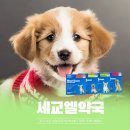 세교엘약국 네이버블로그