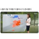 화가많은화가 네이버블로그