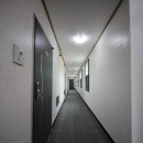 꿀단지부동산공인중개사사무소 이미지