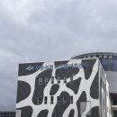 포항수협송도활어회센터 | w9. 포항 상견례 장소 l ‘포항수협 송도활어회센터‘ 방문후기