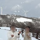 춘삼월목장 | 얼렁뚱땅 겨울 웨딩스냅 촬영기