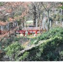 김광종 영세불망비 이미지
