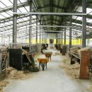 거대한우농장 이미지