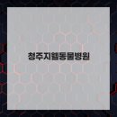 청주지웰동물병원 | 청주지웰동물병원 고양이스케일링 중성화수술