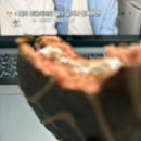 11545-05-01-28 | 26/01/28~26/02/05