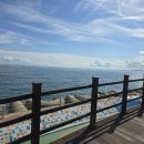 신신민박 | 🎣 동해 강구항 낚시 여행 후기｜손맛까지 잡은 워크샵 코스