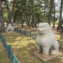 경주괘릉