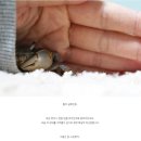 새우집우리집 이미지