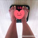 정상체중으로 회복한 비만 탈출 다이어트 후기