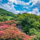 명옥헌원림2(입구) 이미지