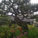 KTX언양마트 이미지