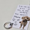 오이지스튜디오 이미지