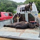 철제농장 이미지