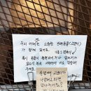 카페냥 | 경주 카페 추천 조용하고 아늑한 분위기의 한옥카페 '동바커피'