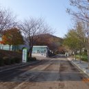 농업기술센터(좌) 이미지