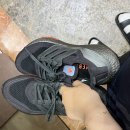 어흥어흥 기장일광점 | 2022, 05