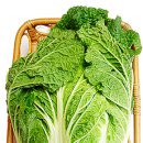 GreenFarm 이미지