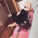 행복한일상 이미지