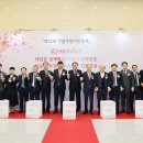 피우다 이미지