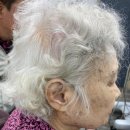 성남우리보청기 | 어려움으로 답답함을 느끼셨던 어르신들께 이곳은 정말 빛과 소금 같은 공간 분당보청기 성남독일보청기